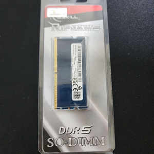 ramaxel DDR5 4800 12G 램