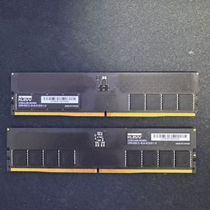 클레브 하이닉스 A다이 ddr5 5600 32기가*2