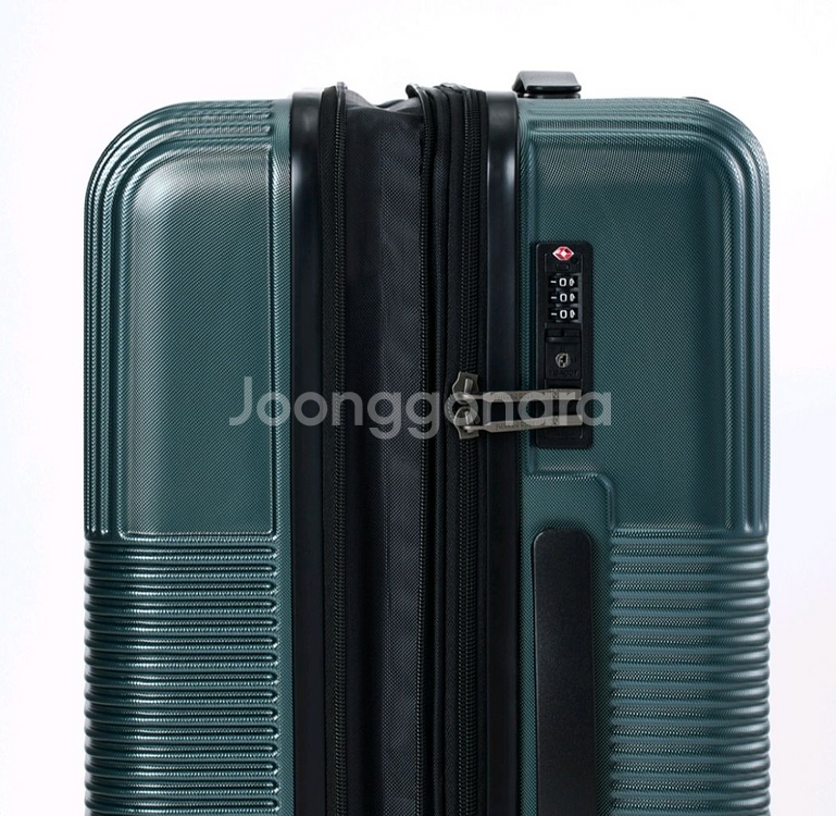 아날도바시니 캐리어팰리스--3