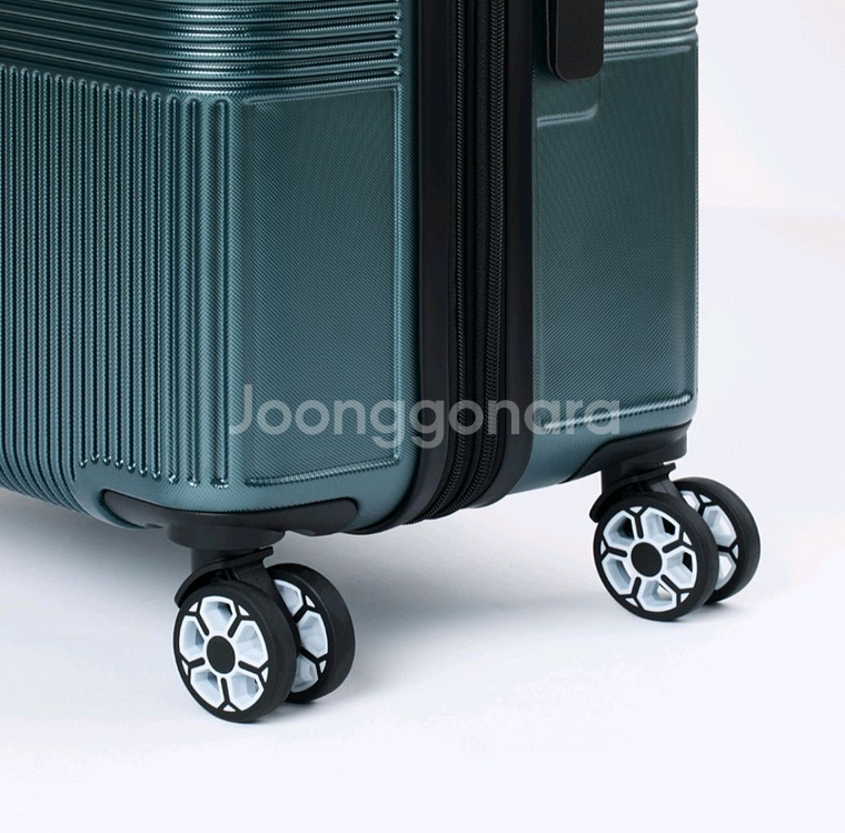 아날도바시니 캐리어팰리스--4