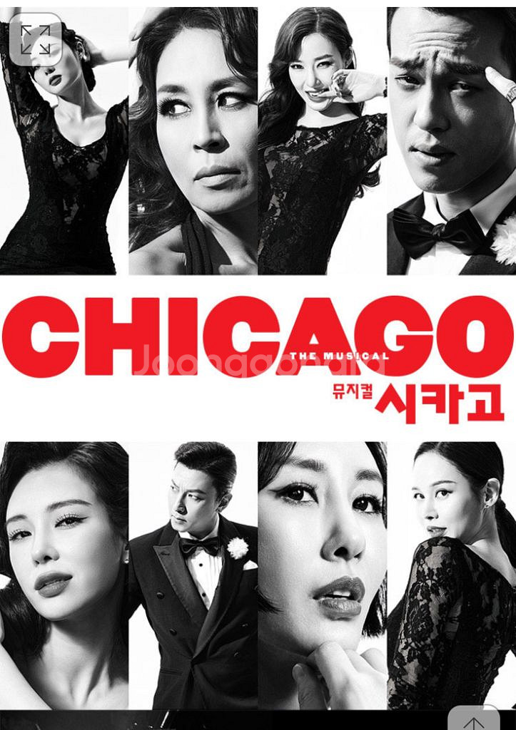 뮤지컬 시카고 8/13 오후7시30분 R석1자리 양도--0