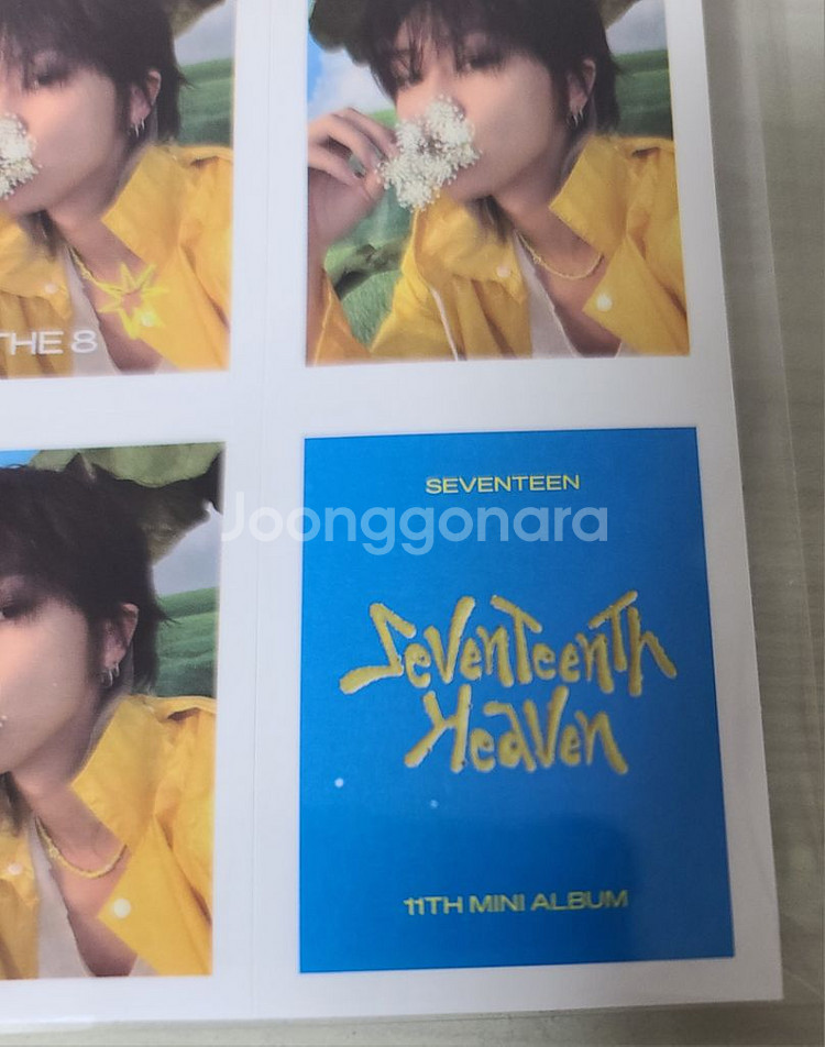 세븐틴 헤븐 캐럿반 위버스 예판 특전 디에잇 포카--1