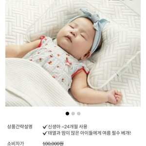 아이누오 피트 듀라론 쿨쿨 아기베개