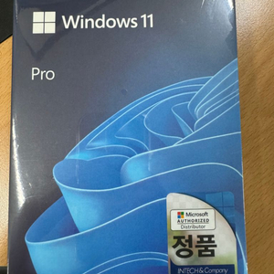 윈도우 11 PRO