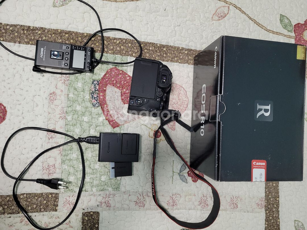 캐논 eos r10 캐논 어댑터 시그마 150600c--1
