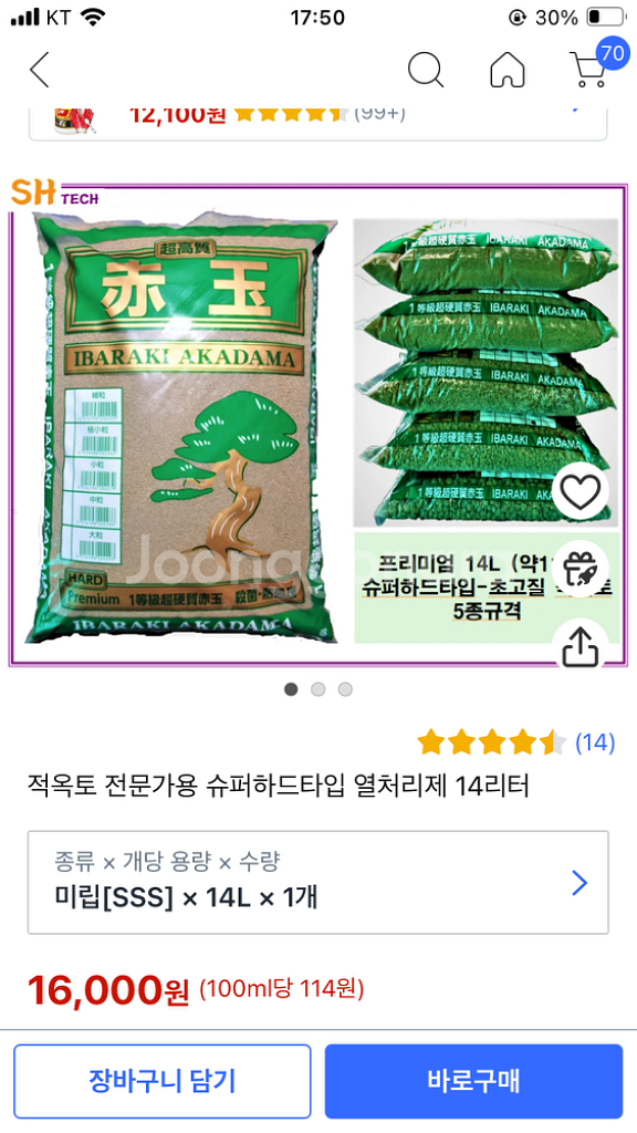 이바라키 적옥토 미립--1