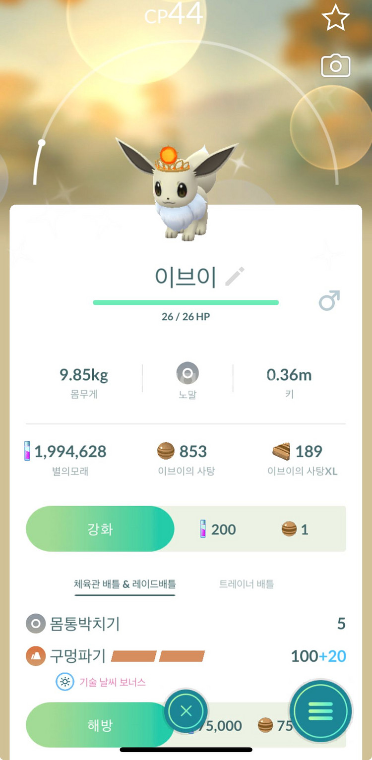 포켓몬고 포켓몬 고 이브이 해/달 코스튬 이로치--1