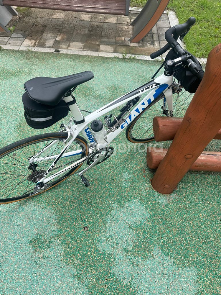 자이언트 카본 로드자전거(진짜 급처)--3