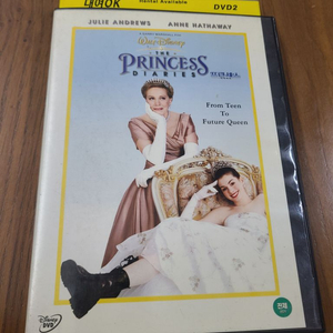 프린세스 다이어리 1 영화 DVD 앤해서웨이