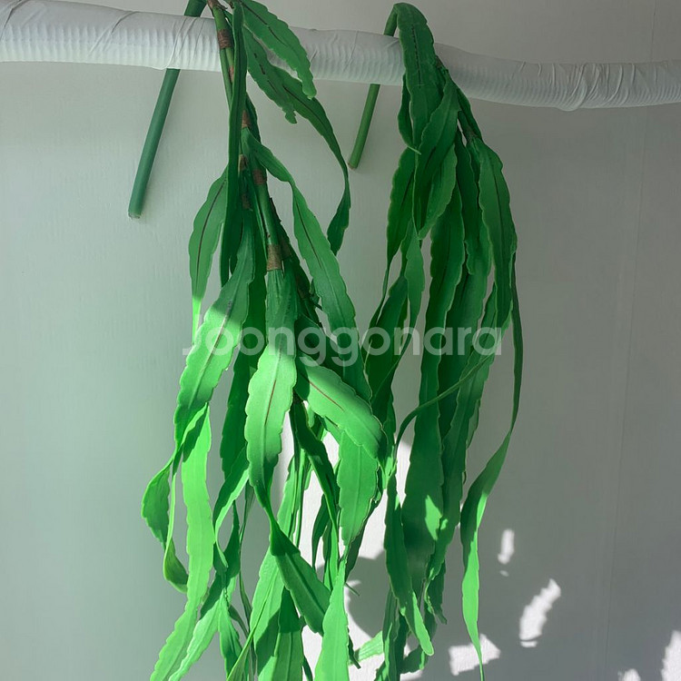 행잉플랜트 60,80cm 잎 바인 담쟁이 덩쿨 넝쿨 가--1