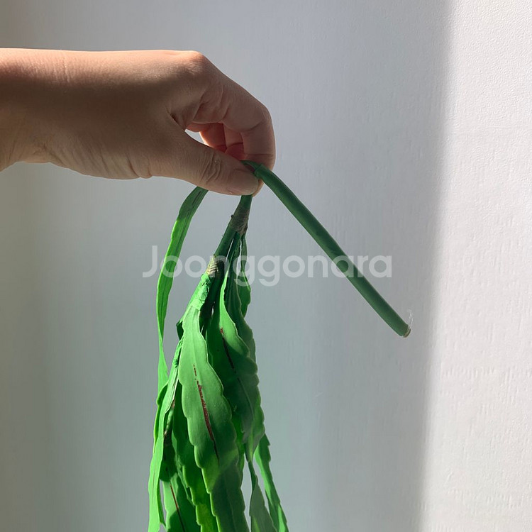 행잉플랜트 60,80cm 잎 바인 담쟁이 덩쿨 넝쿨 가--3