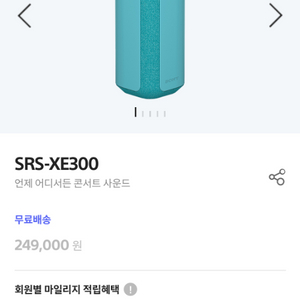 소니 SRS-XE300 스피커