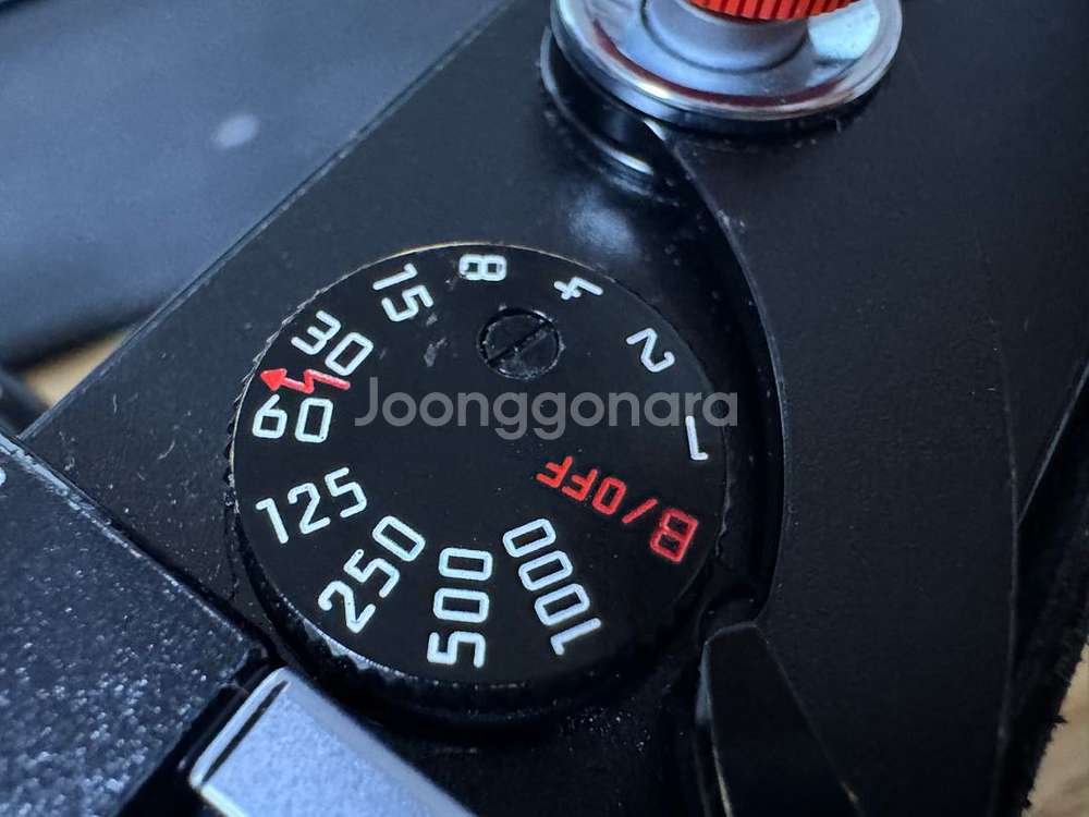 라이카 mp 플페 + 주미크론 50mm 현행 쿨매 할인--5