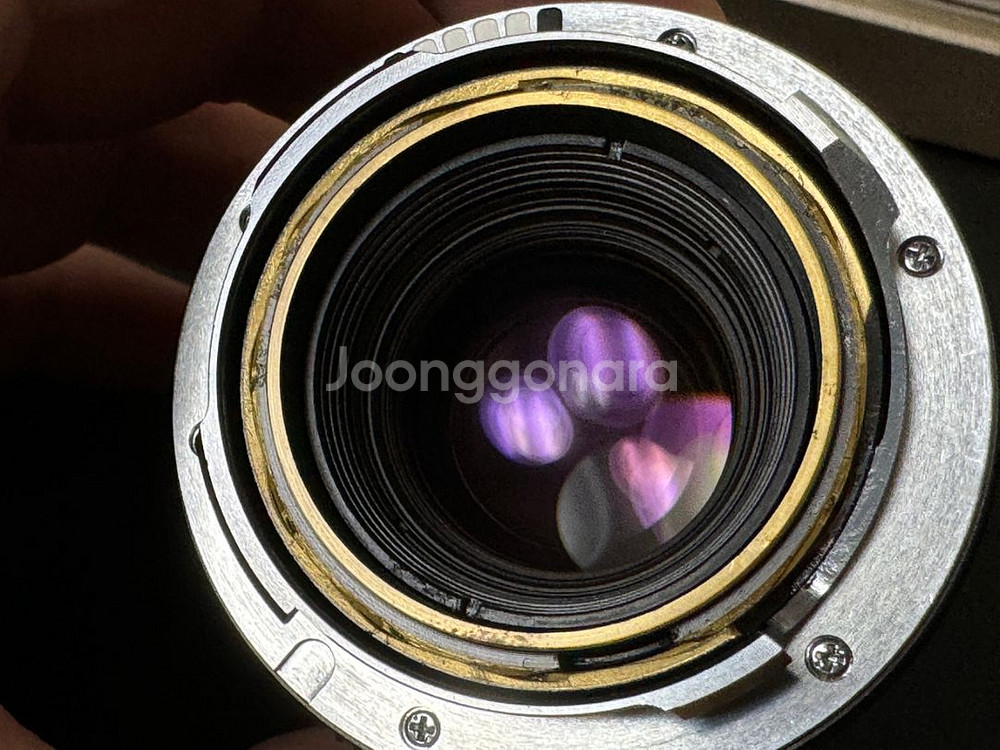 라이카 mp 플페 + 주미크론 50mm 현행 쿨매 할인--2
