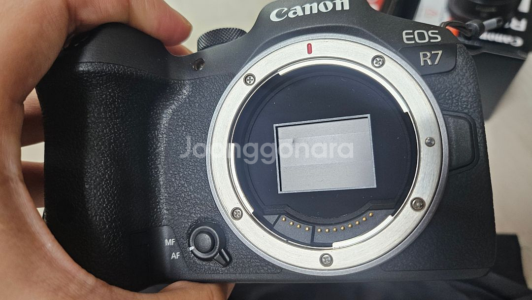 캐논 EOS R7 및 16,35,50단렌즈 급처합니다--7