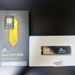 SK하이닉스 SSD P31 500G