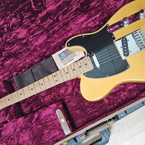 fender player LTD 펜더 플레이어