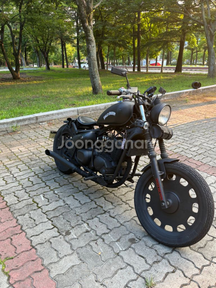 할리커스텀 바이크--2