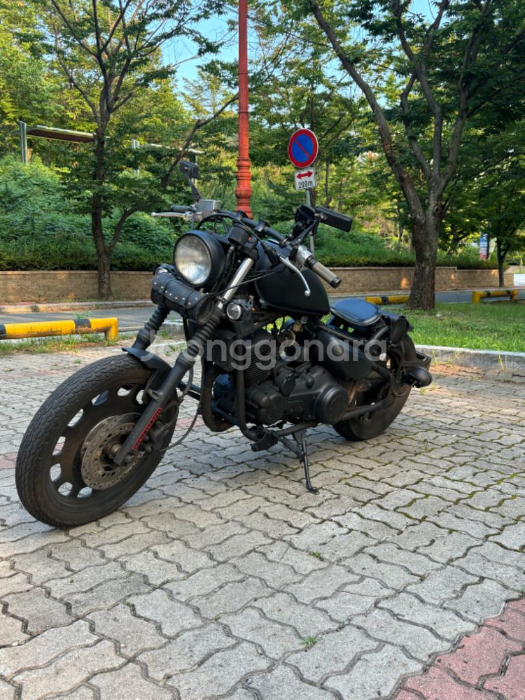 할리커스텀 바이크--1