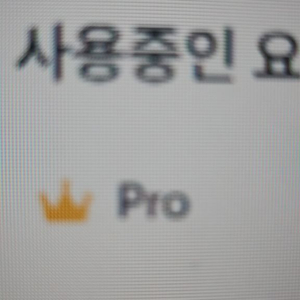 미리캔버스 프로 내년1월까지