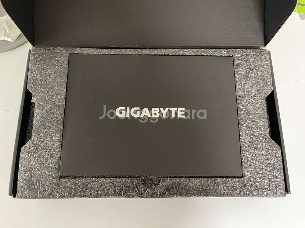 3080ti 기가바이트 겜오씨--1