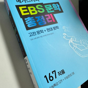 2024 ebs 메가스터디 수특수완 문학 분석서