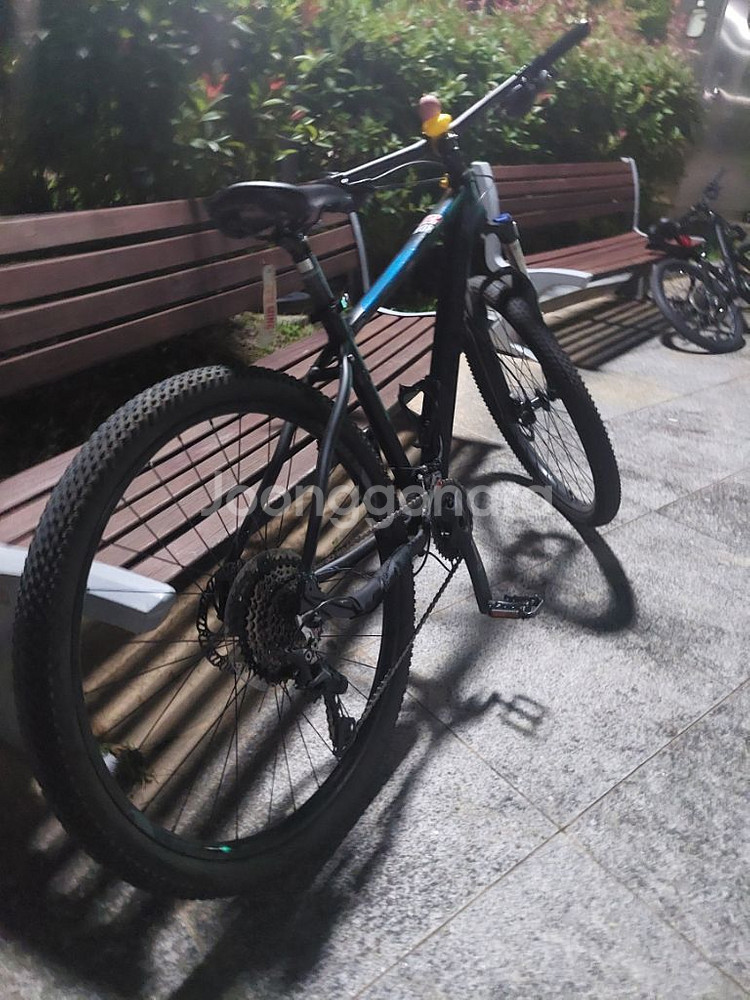 캠프mtb--1