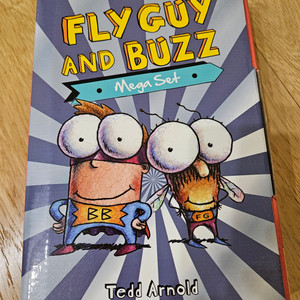 영어책 Fly guy and buzz