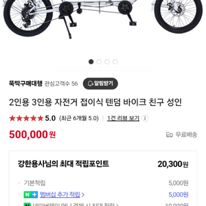 입문용 2인용 자전거 접이식 텐덤 바이크