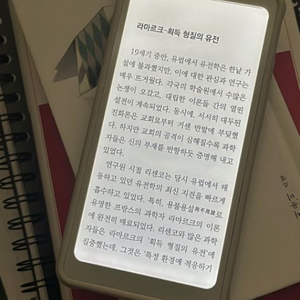 오닉스 팔마 화이트 블랙으로 교환원해요