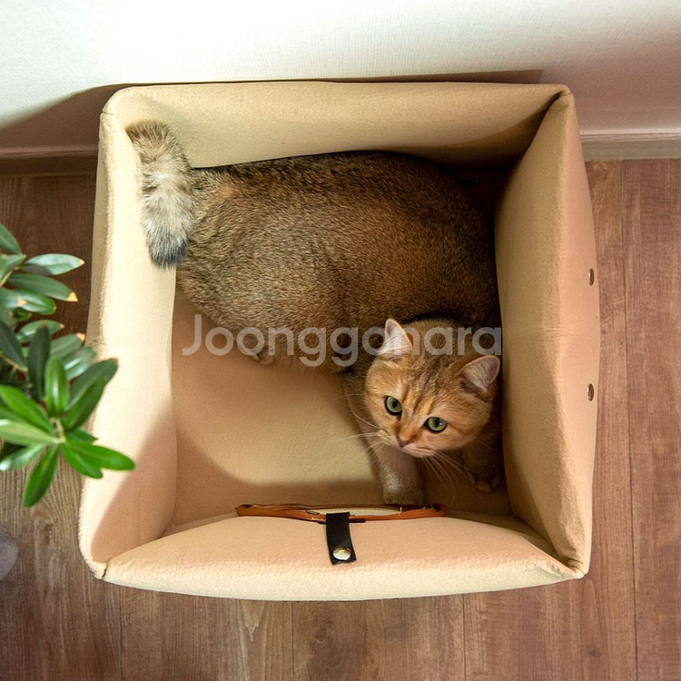 ENOUGH 5 고양이 숨숨하우스 베이지--1