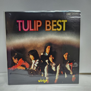 튤립 가든 Tulip Garden lp