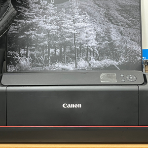 Canon imagePROGRAF PRO-500 판매