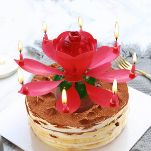 연꽃초 숫자초 환갑초 회전초 특이한 생일 초 촛불