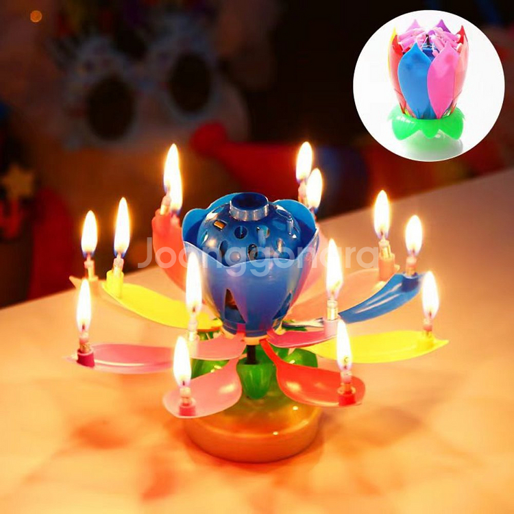 연꽃초 숫자초 환갑초 회전초 특이한 생일 초 촛불--4