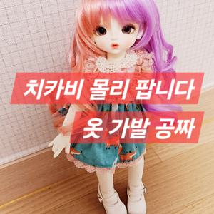 치카비 정품 USD 26cm 구체관절인형 팝니다 급처