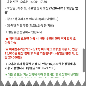 용평 워터파크 오후권 1매