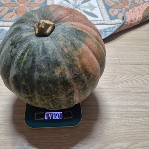 호박 4.7Kg