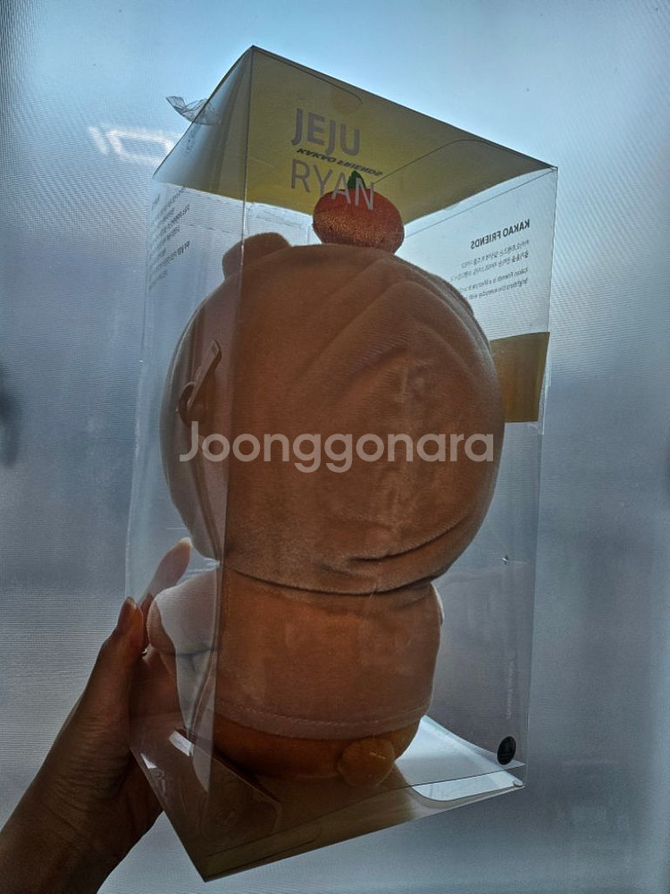 제주도 라이언 인형--2