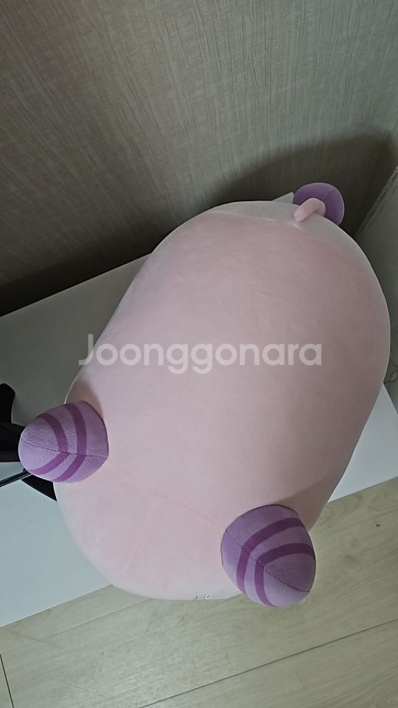 메이플 핑크빈 허니 모찌쿠션--2