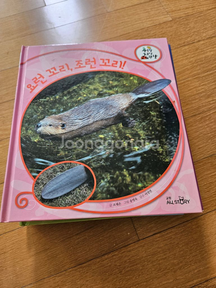 교원책 3종류--3