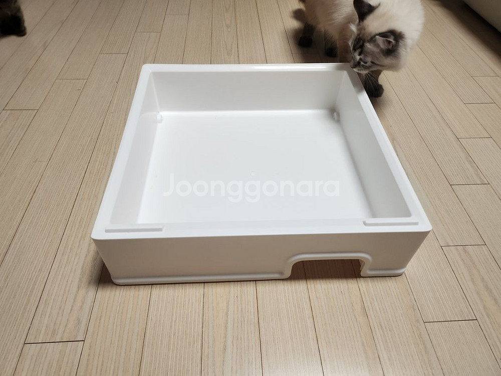 [안산] 하우스모양 고양이화장실(산실,숨숨집 가능)--3