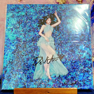 Devita 드비타 사인 엘피 바이닐 SIGNED LP