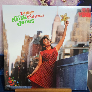 Norah Jones 노라 존스 엘피 바이닐 LP