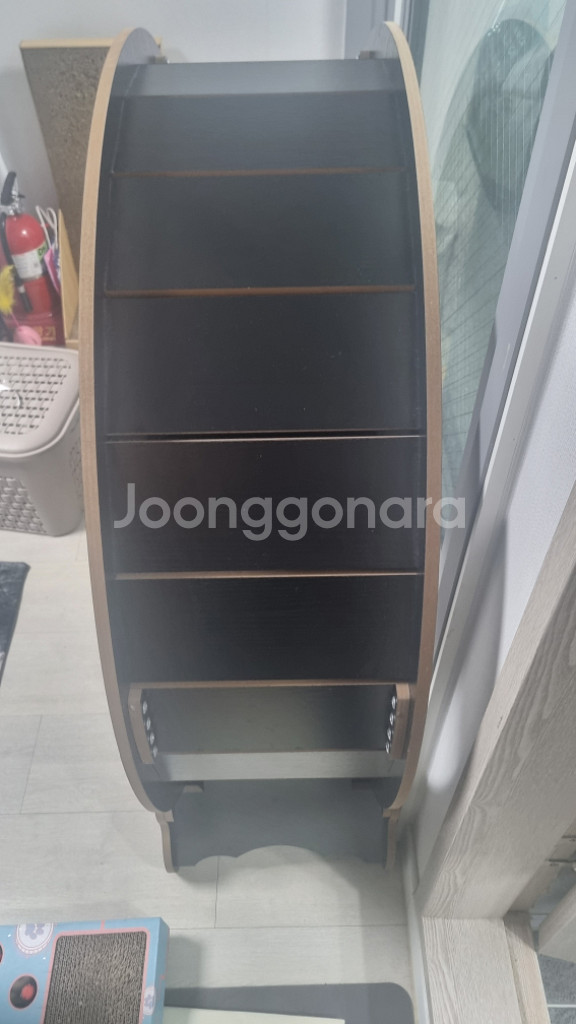 캣휠--1