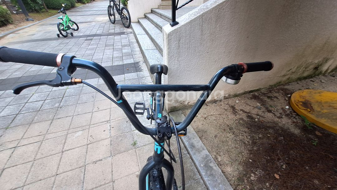 몽구스 리젼L80 BMX--3