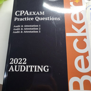 becker auditing