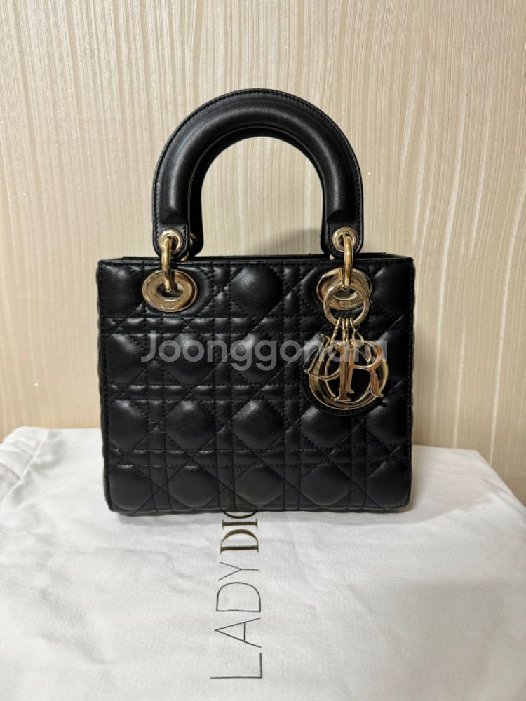 디올레이디백--0