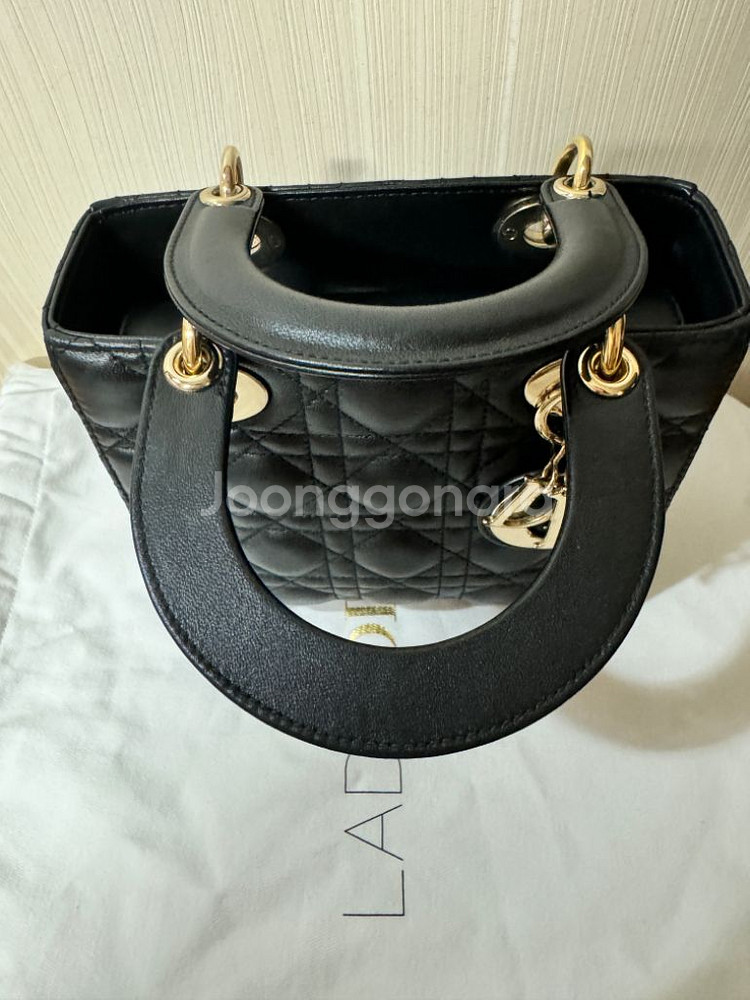 디올레이디백--2