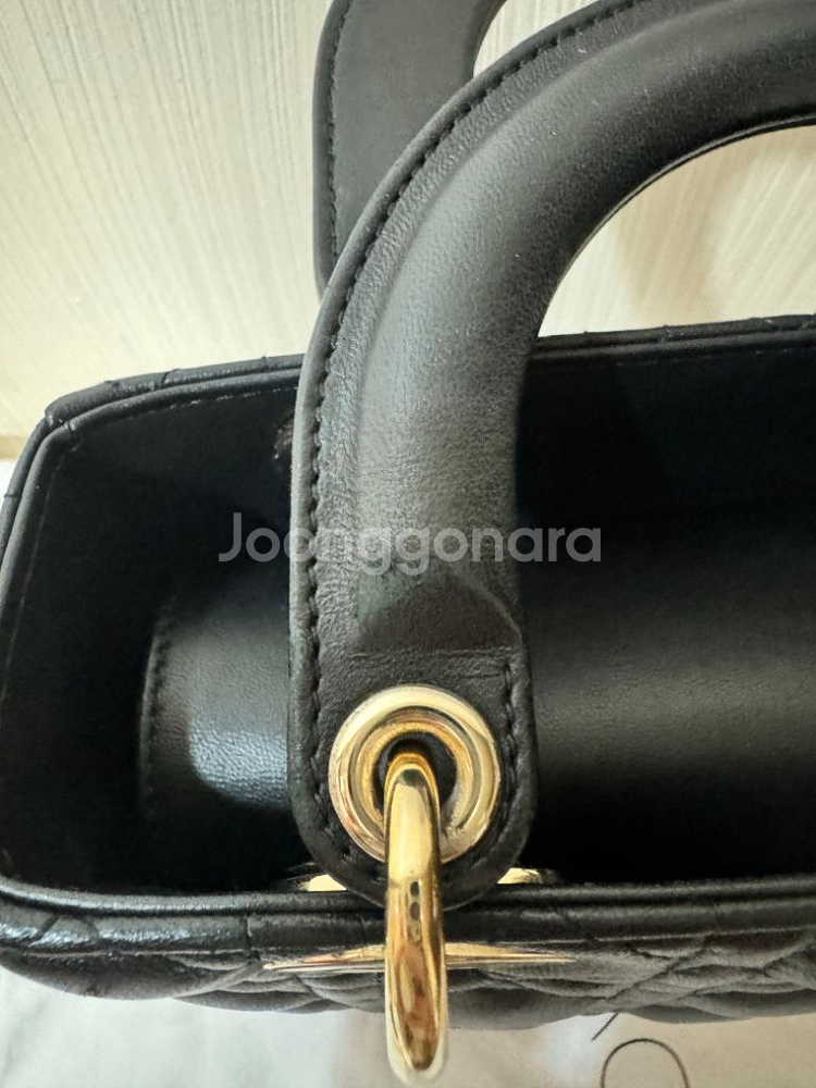 디올레이디백--1